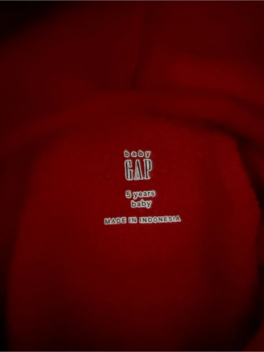 Kids Gap Red Hooded Pullover Sweatshirt